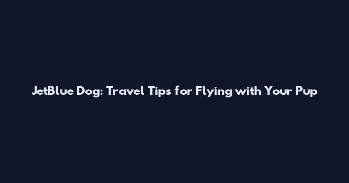 JetBlue Dog: Travel Tips for Flying with Your Pup