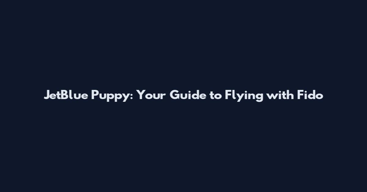JetBlue Puppy: Your Guide to Flying with Fido