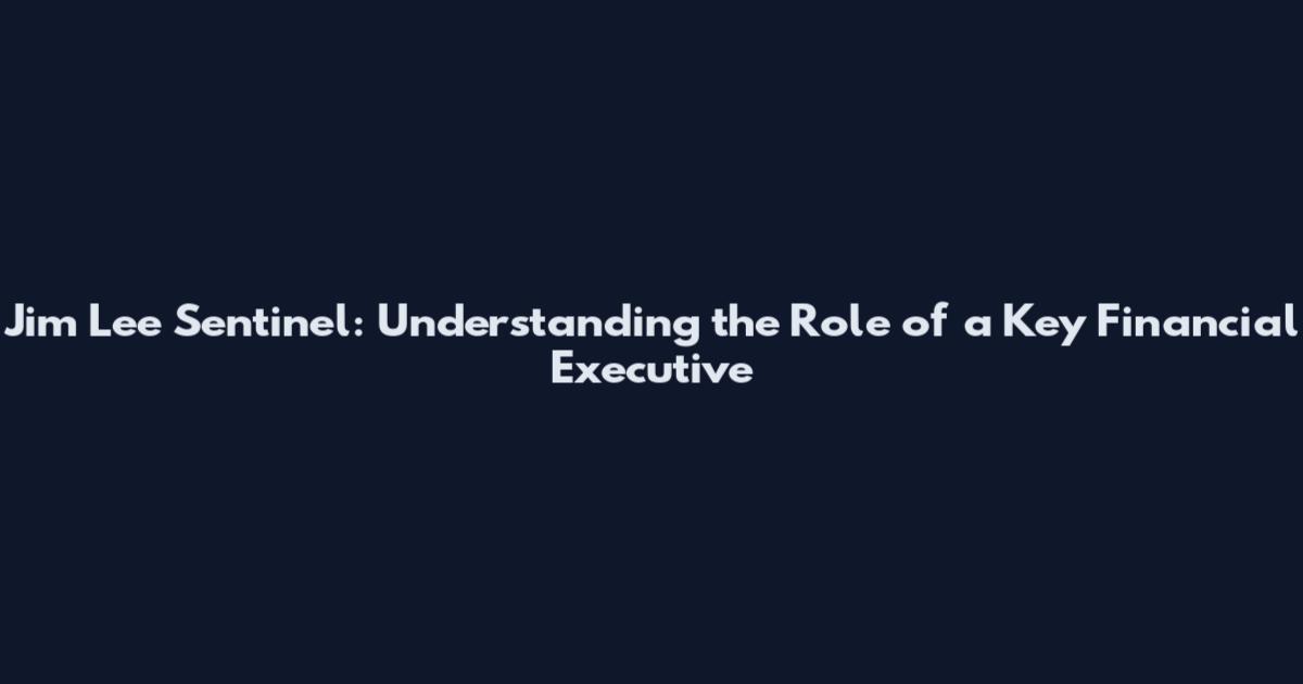 Jim Lee Sentinel: Understanding the Role of a Key Financial Executive