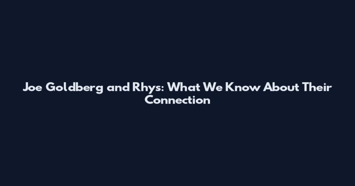 Joe Goldberg and Rhys: What We Know About Their Connection