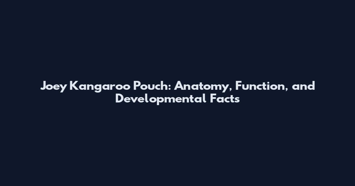 Joey Kangaroo Pouch: Anatomy, Function, and Developmental Facts