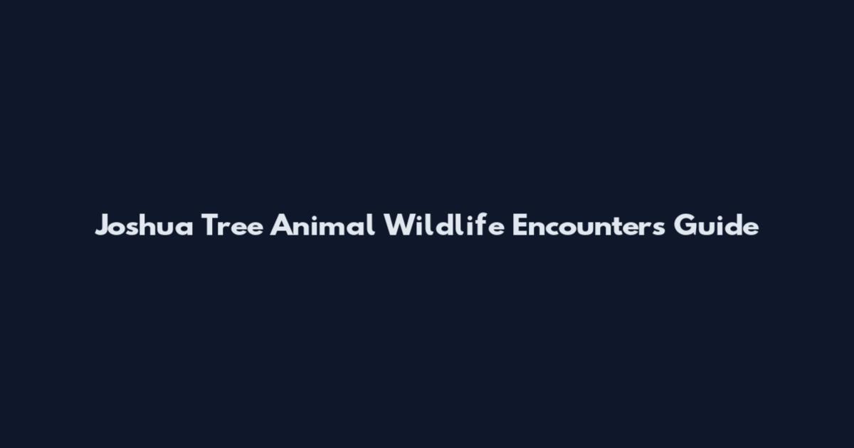 Joshua Tree Animal Wildlife Encounters Guide