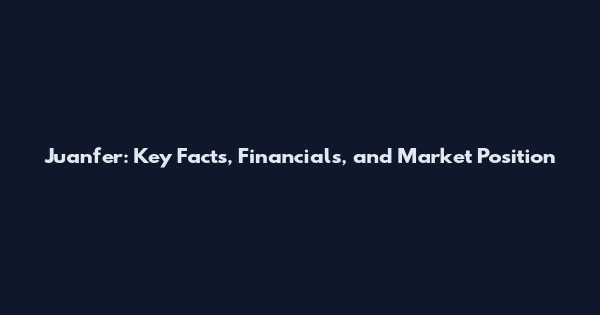 Juanfer: Key Facts, Financials, and Market Position