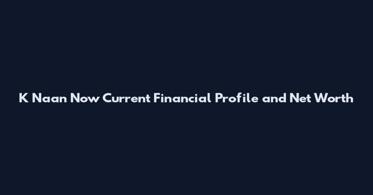 K Naan Now Current Financial Profile and Net Worth
