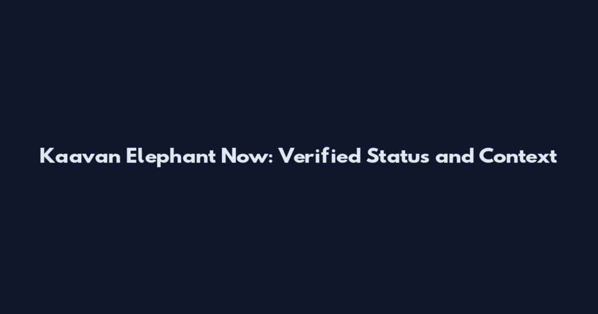 Kaavan Elephant Now: Verified Status and Context