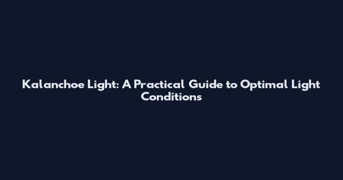 Kalanchoe Light: A Practical Guide to Optimal Light Conditions