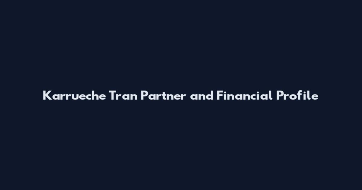 Karrueche Tran Partner and Financial Profile