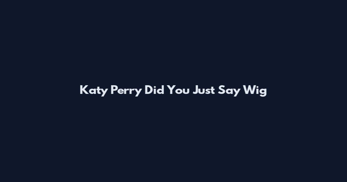 Katy Perry Did You Just Say Wig