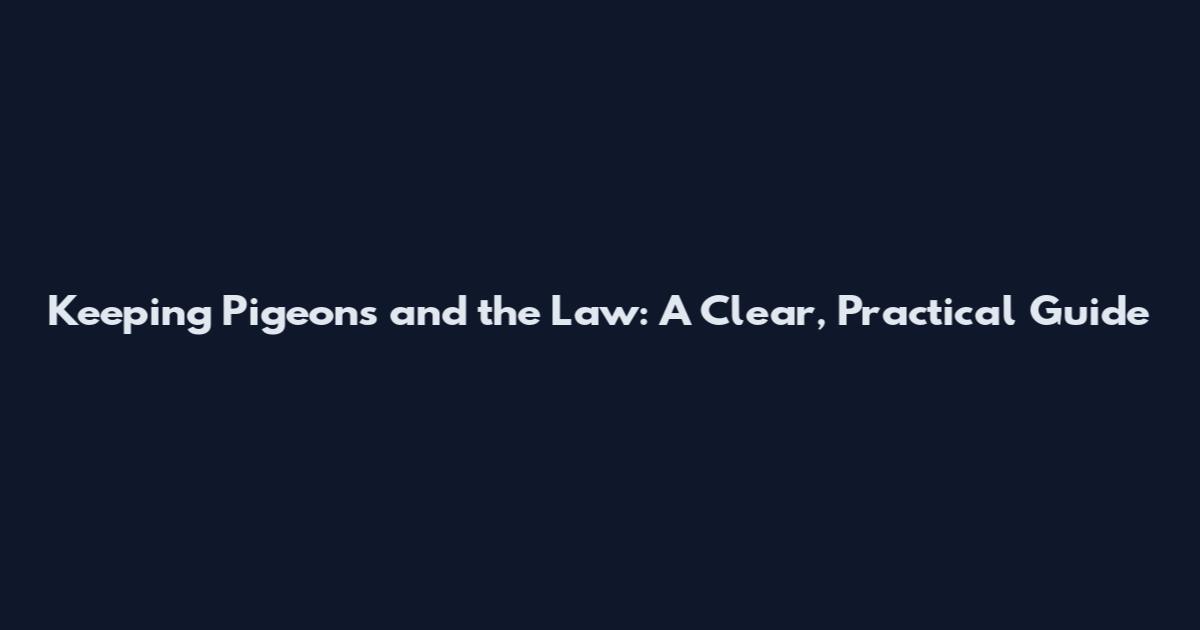 Keeping Pigeons and the Law: A Clear, Practical Guide