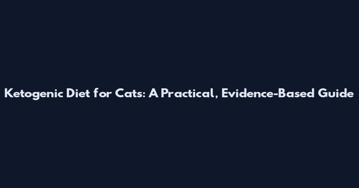 Ketogenic Diet for Cats: A Practical, Evidence-Based Guide