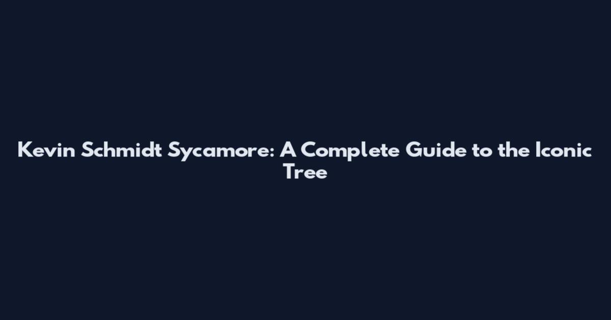 Kevin Schmidt Sycamore: A Complete Guide to the Iconic Tree