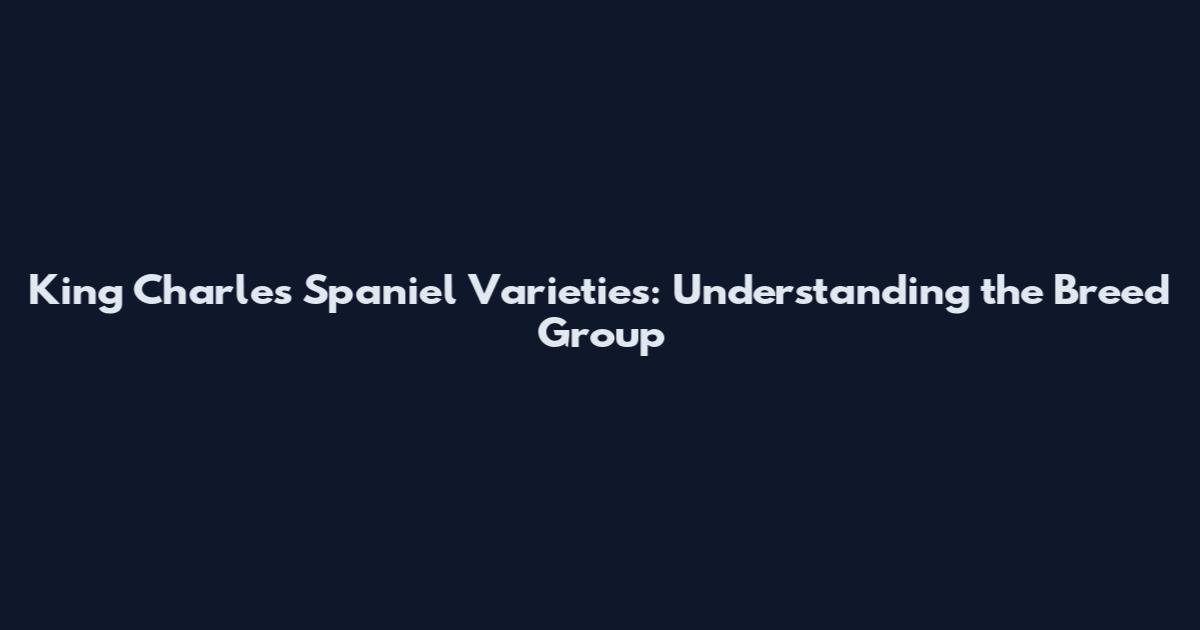 King Charles Spaniel Varieties: Understanding the Breed Group