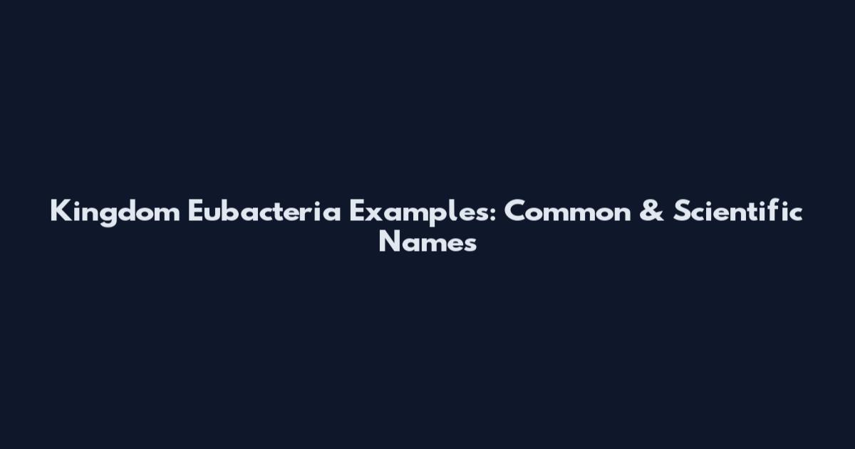 Kingdom Eubacteria Examples: Common & Scientific Names