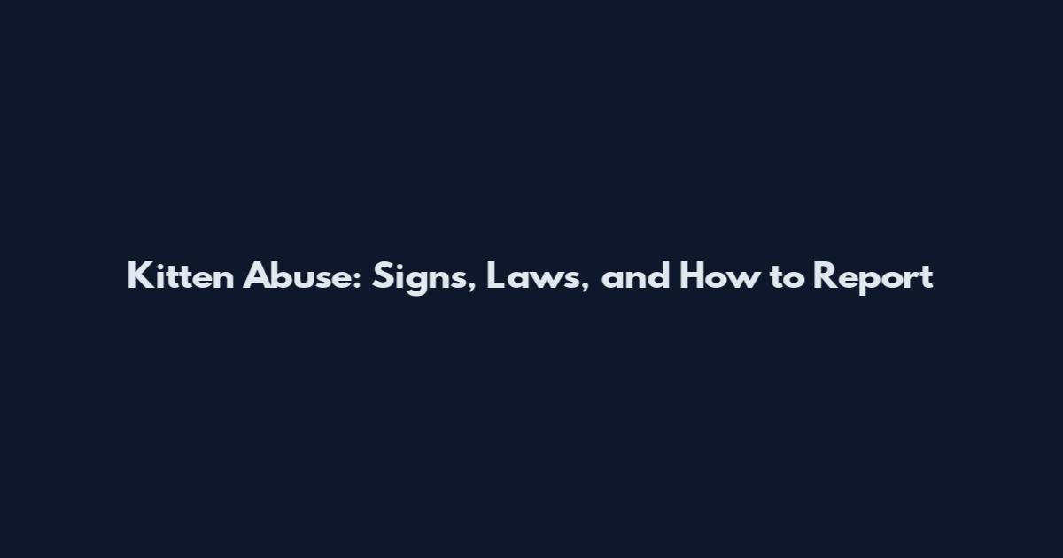 Kitten Abuse: Signs, Laws, and How to Report