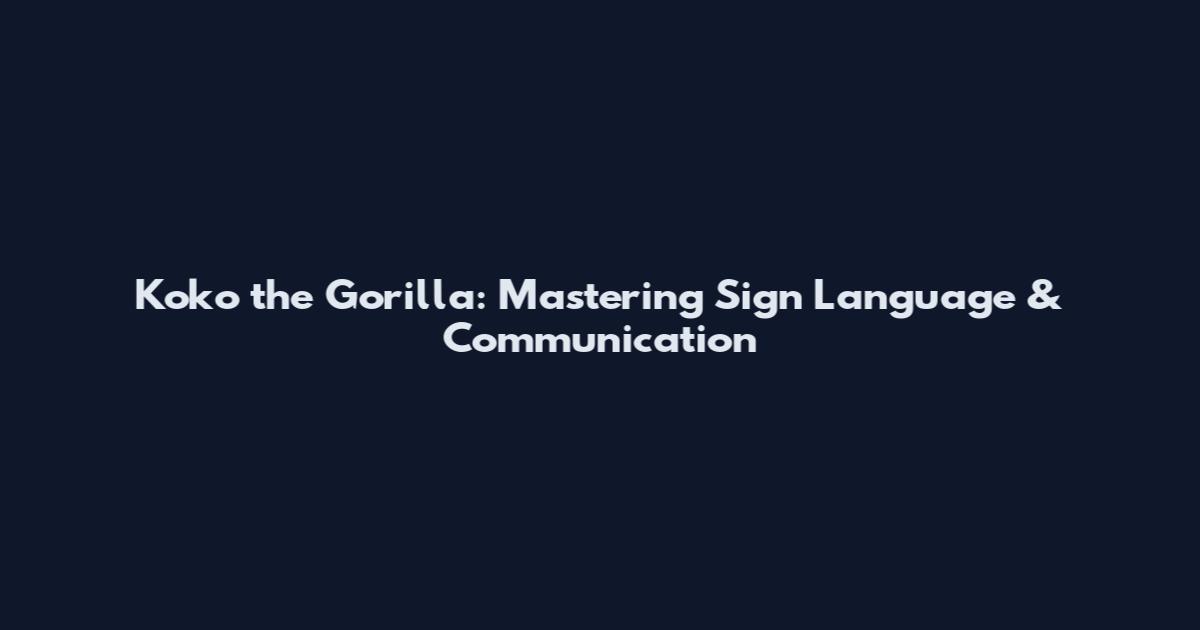 Koko the Gorilla: Mastering Sign Language & Communication