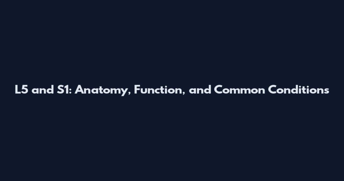 L5 and S1: Anatomy, Function, and Common Conditions