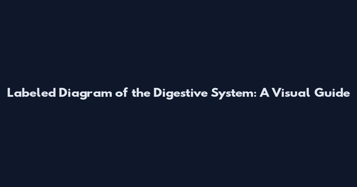 Labeled Diagram of the Digestive System: A Visual Guide