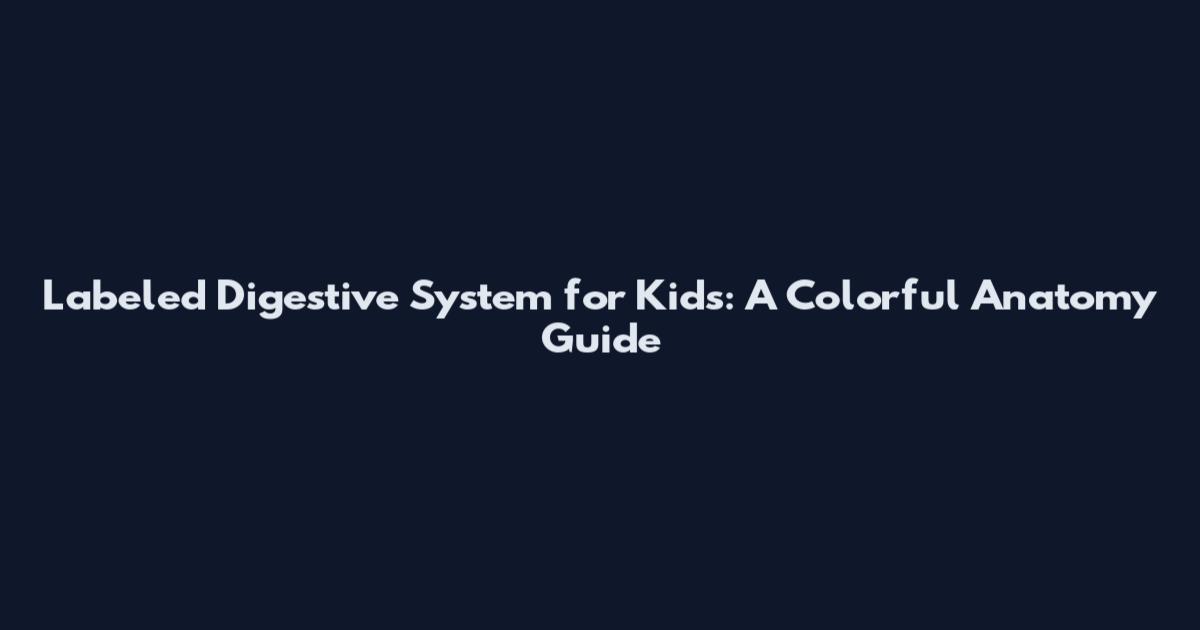 Labeled Digestive System for Kids: A Colorful Anatomy Guide