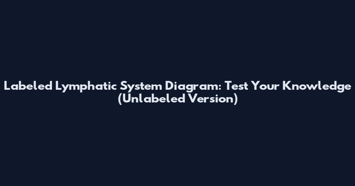 Labeled Lymphatic System Diagram: Test Your Knowledge (Unlabeled Version)