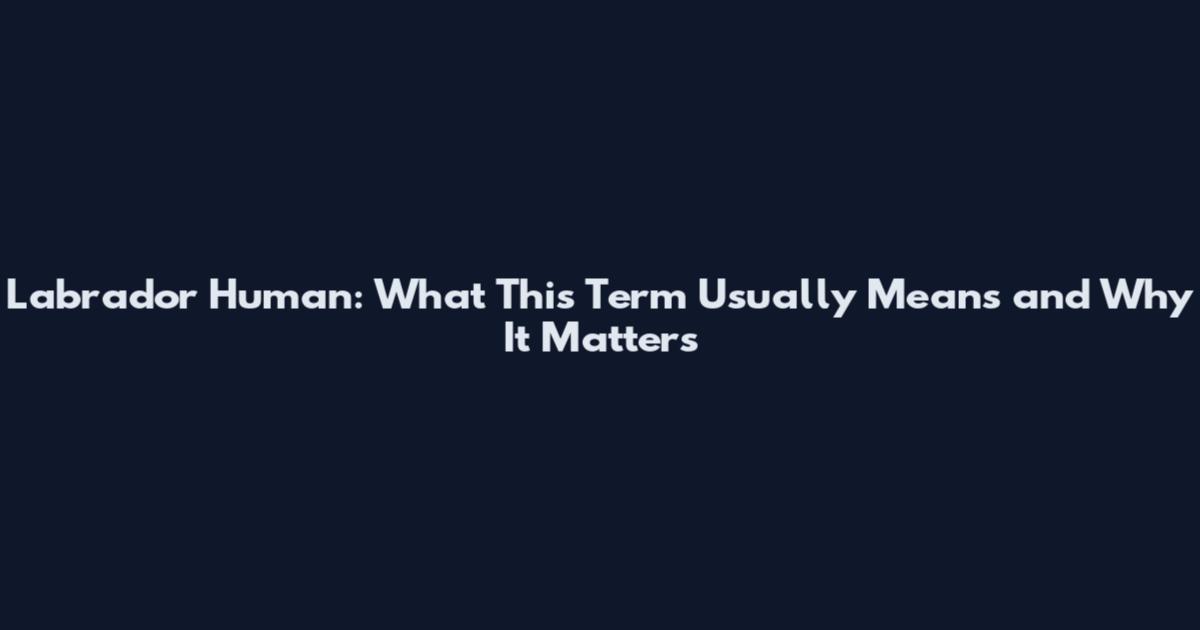 Labrador Human: What This Term Usually Means and Why It Matters