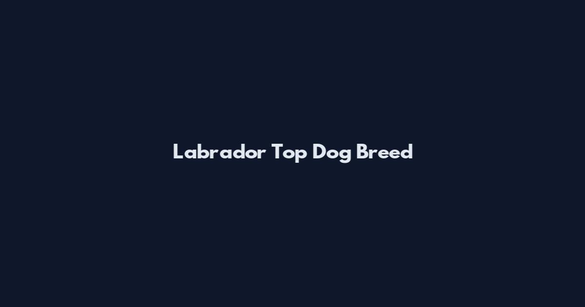 Labrador Top Dog Breed