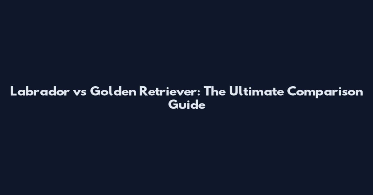 Labrador vs Golden Retriever: The Ultimate Comparison Guide