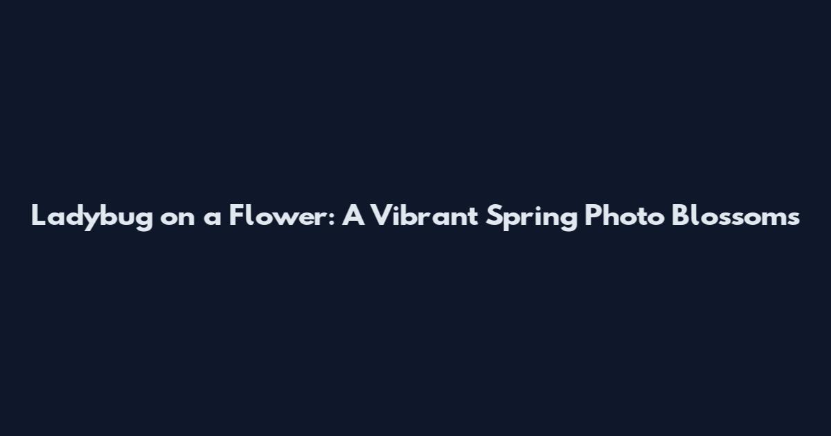 Ladybug on a Flower: A Vibrant Spring Photo Blossoms