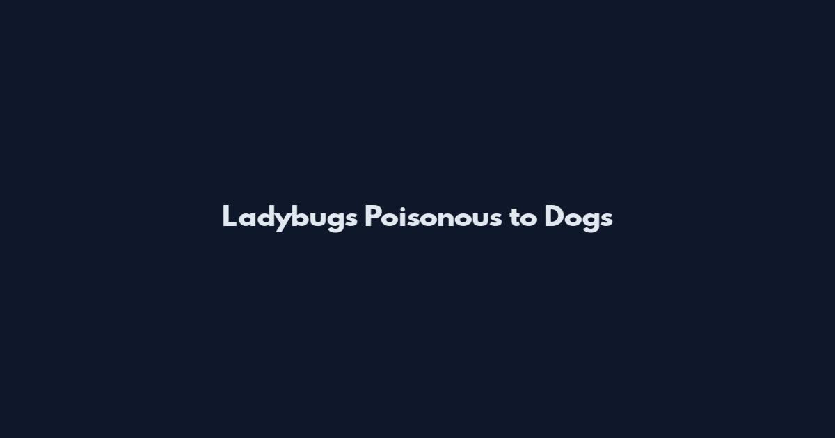 Ladybugs Poisonous to Dogs