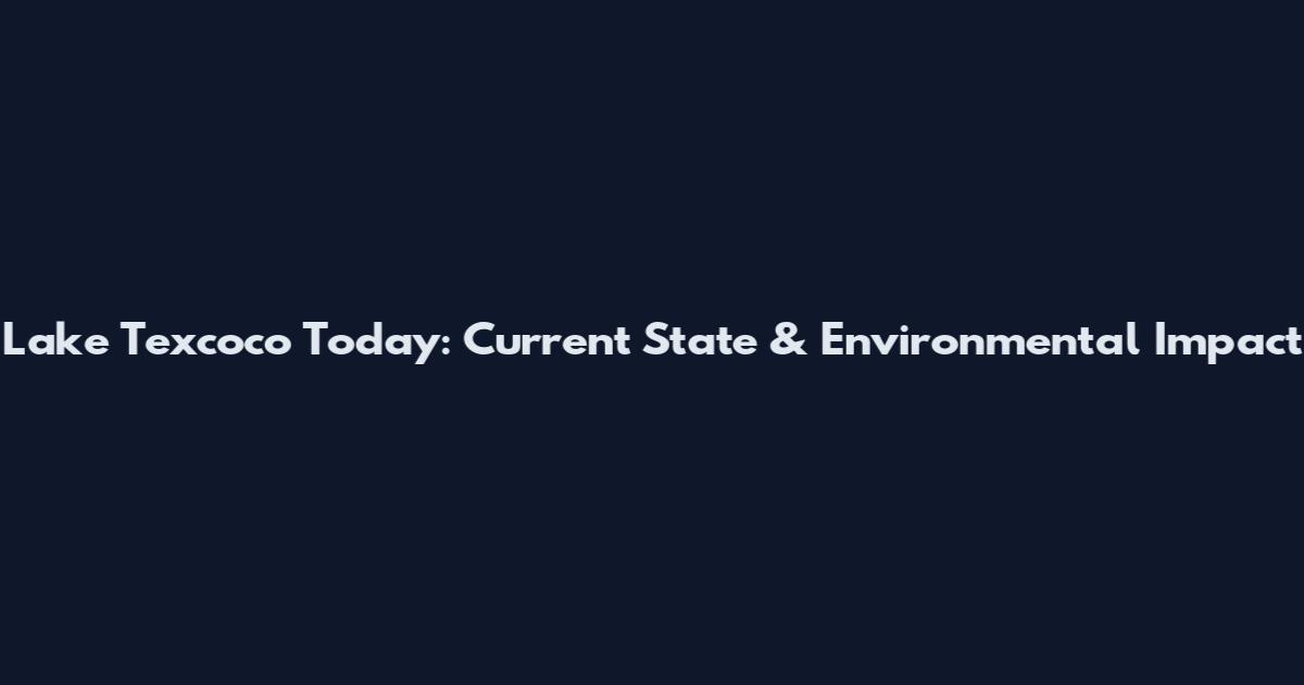 Lake Texcoco Today: Current State & Environmental Impact