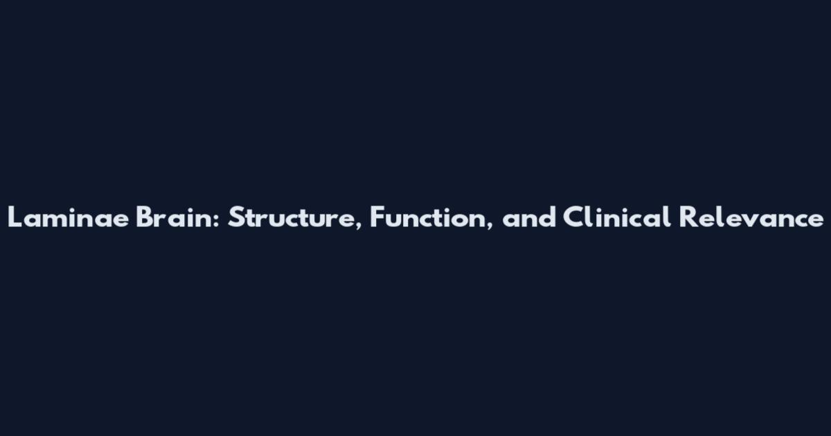 Laminae Brain: Structure, Function, and Clinical Relevance
