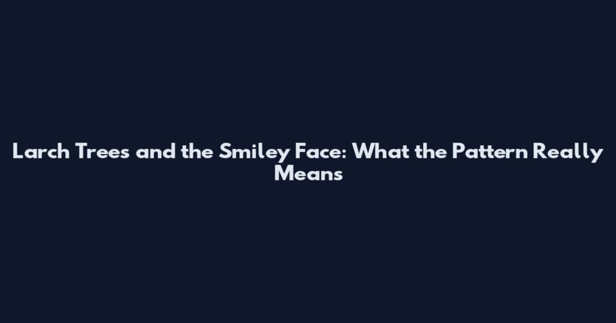 Larch Trees and the Smiley Face: What the Pattern Really Means