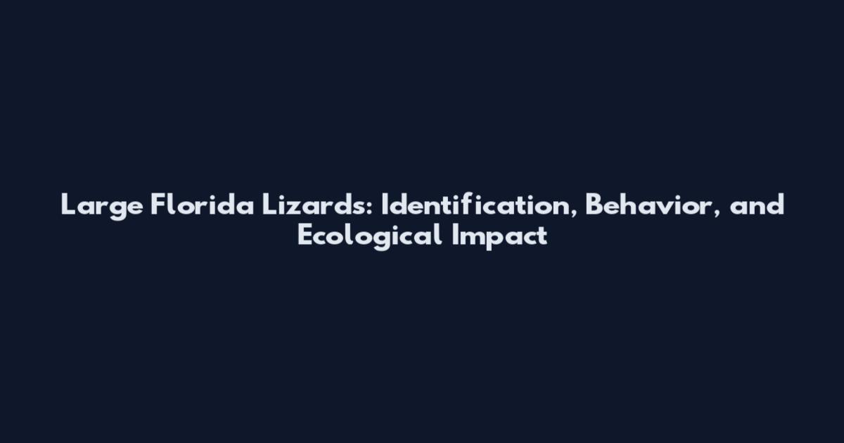 Large Florida Lizards: Identification, Behavior, and Ecological Impact