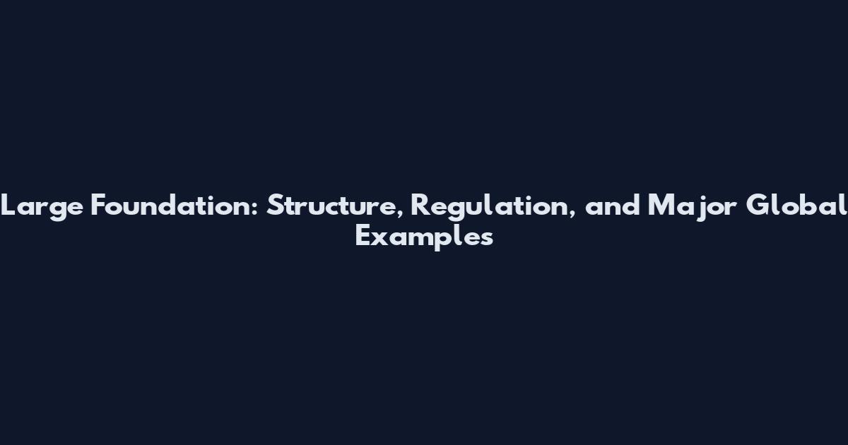 Large Foundation: Structure, Regulation, and Major Global Examples