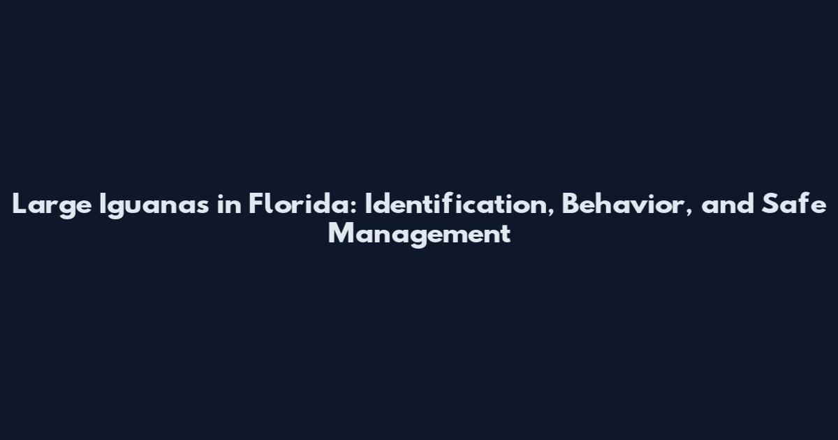 Large Iguanas in Florida: Identification, Behavior, and Safe Management