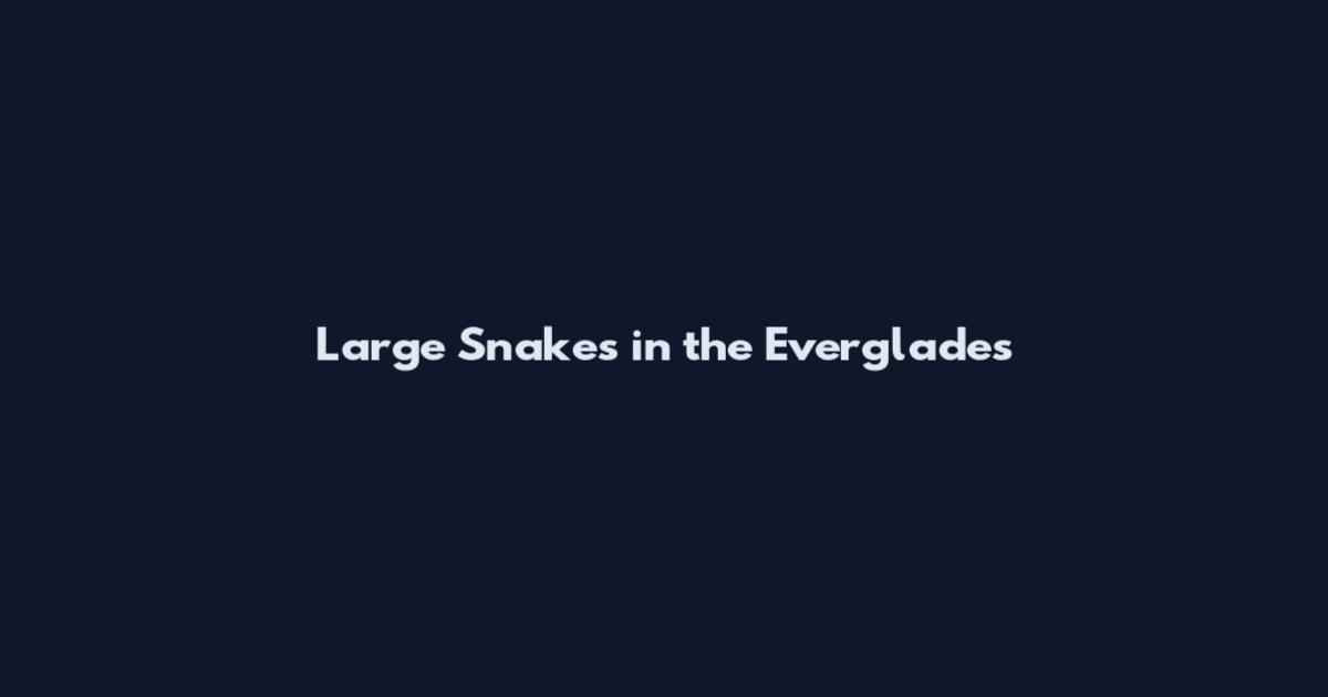 Large Snakes in the Everglades