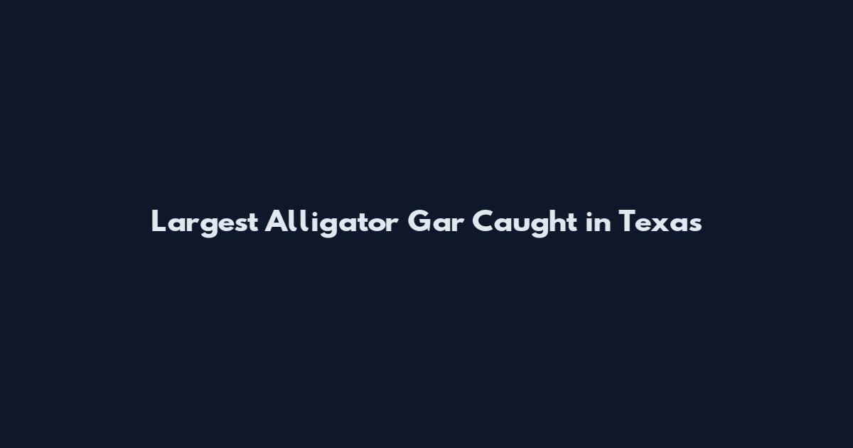Largest Alligator Gar Caught in Texas