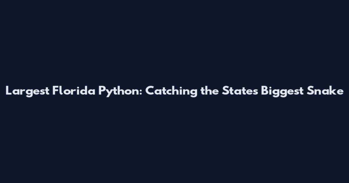 Largest Florida Python: Catching the State's Biggest Snake