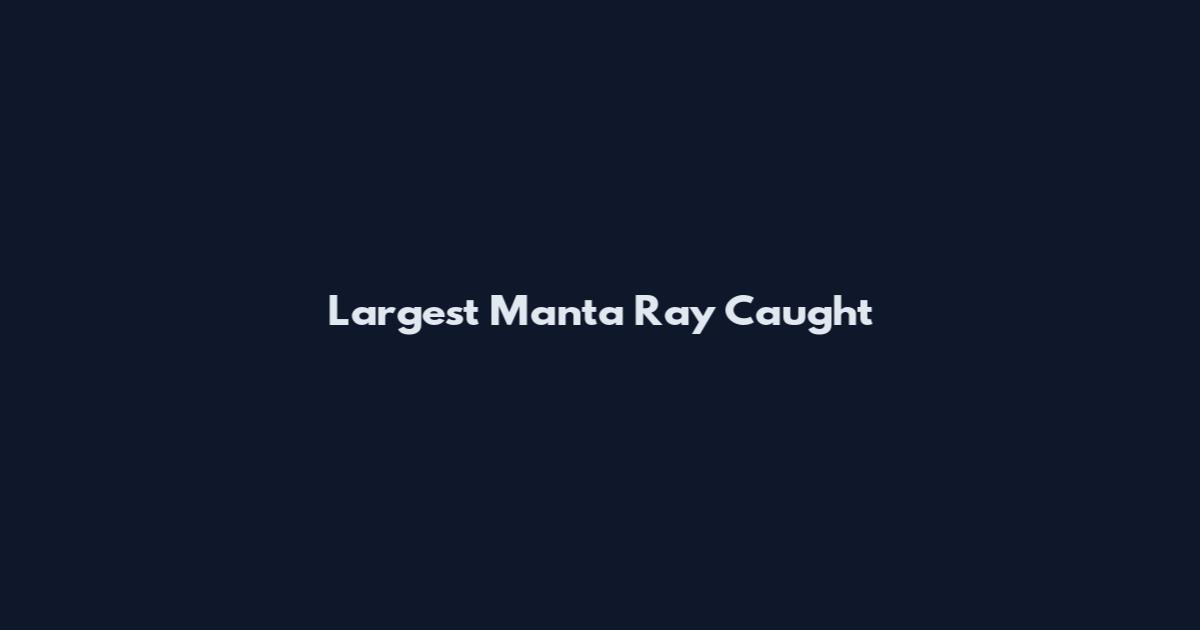 Largest Manta Ray Caught