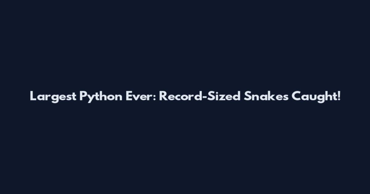 Largest Python Ever: Record-Sized Snakes Caught!