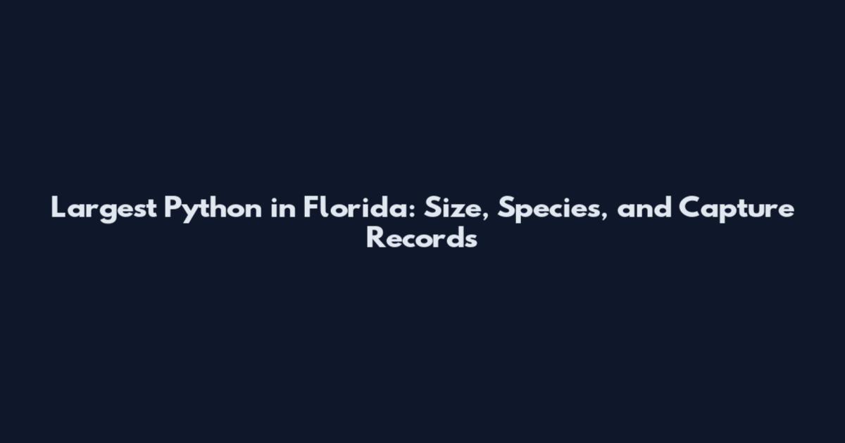 Largest Python in Florida: Size, Species, and Capture Records