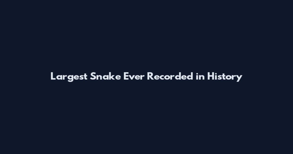 Largest Snake Ever Recorded in History
