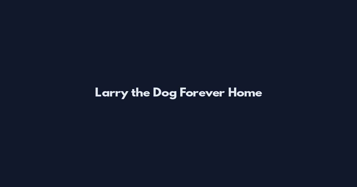 Larry the Dog Forever Home