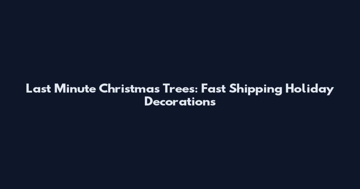 Last Minute Christmas Trees: Fast Shipping Holiday Decorations