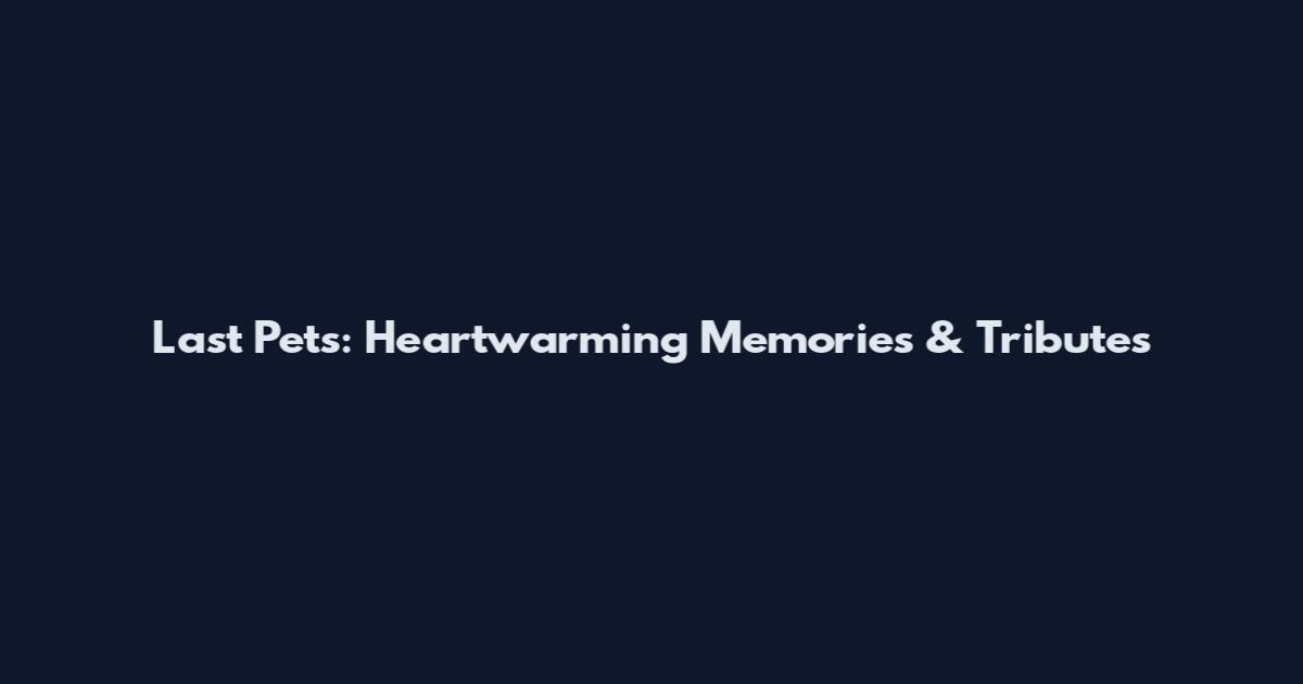 Last Pets: Heartwarming Memories & Tributes