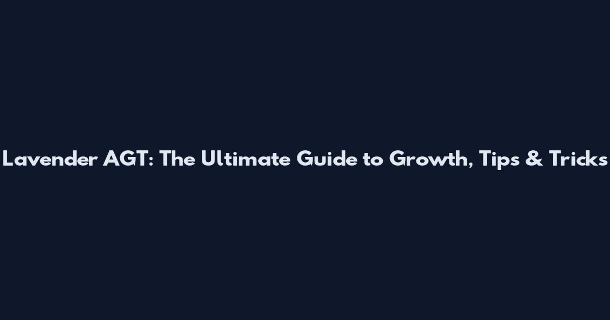 Lavender AGT: The Ultimate Guide to Growth, Tips & Tricks