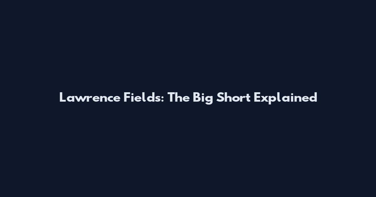 Lawrence Fields: The Big Short Explained