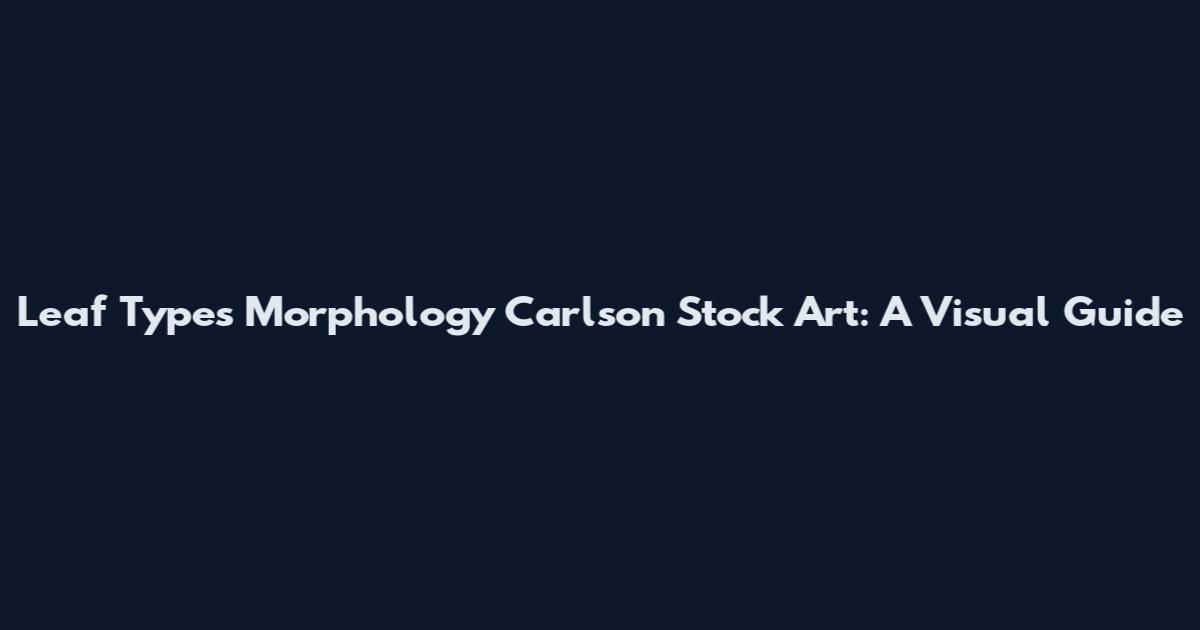 Leaf Types Morphology Carlson Stock Art: A Visual Guide