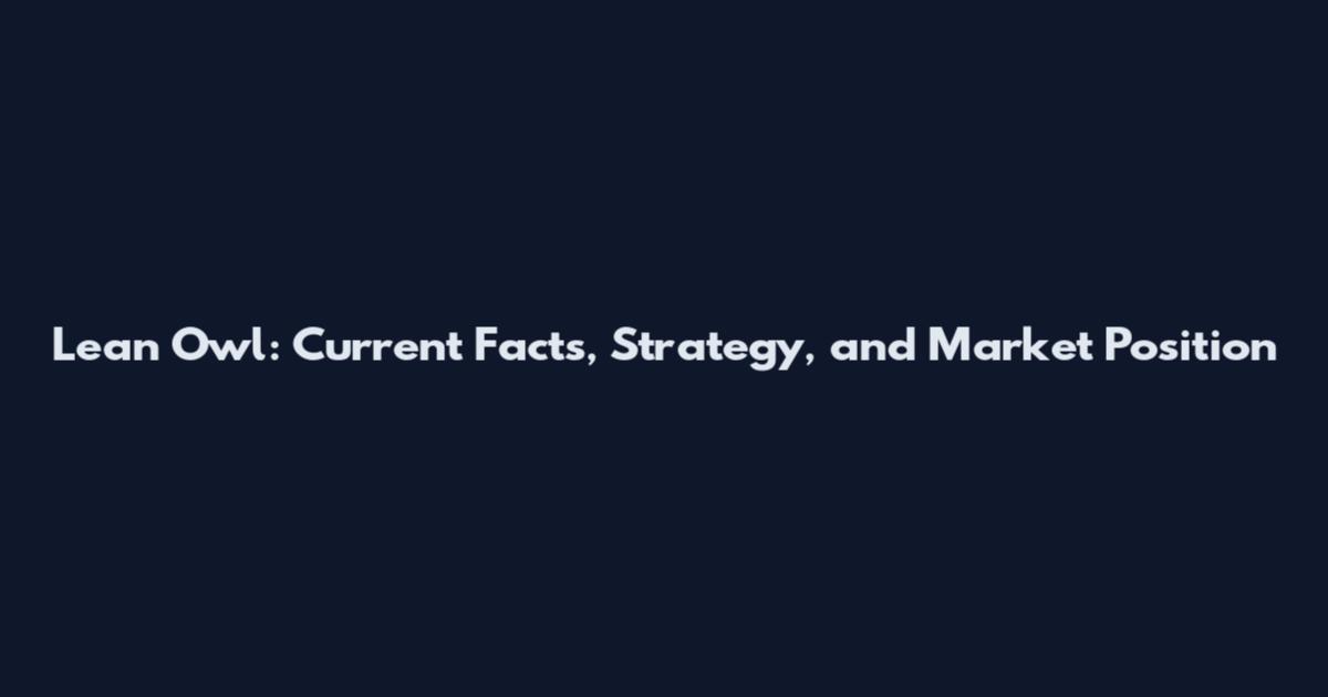 Lean Owl: Current Facts, Strategy, and Market Position