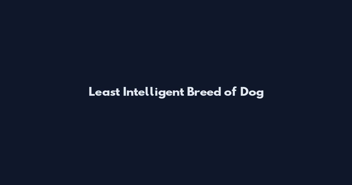 Least Intelligent Breed of Dog