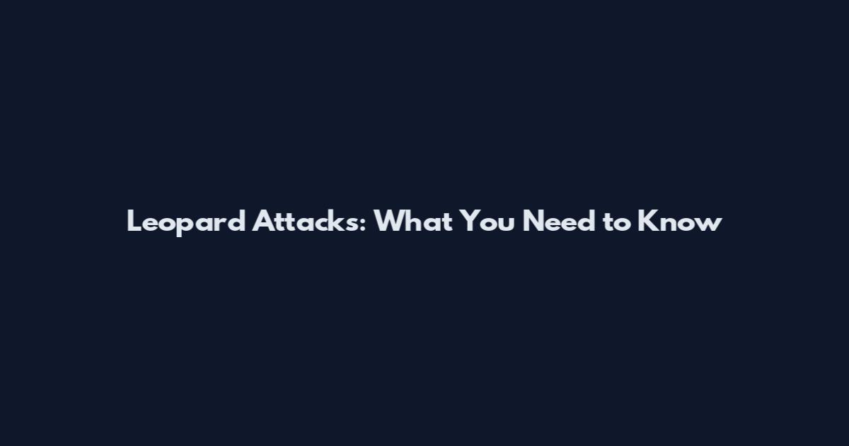 Leopard Attacks: What You Need to Know